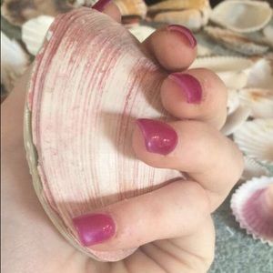 Meet your Posher, Rosa